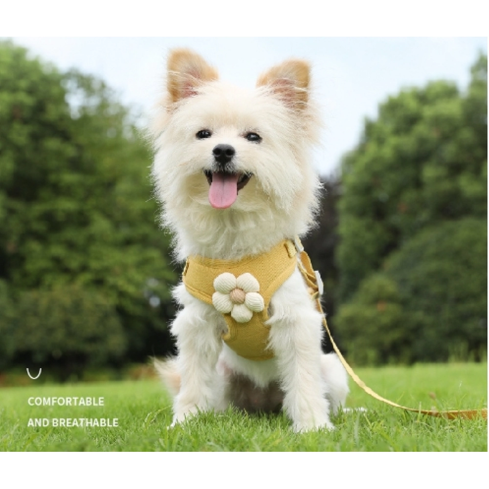 Pet vest