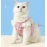 Cat leash JK small flower dog leash strap style cat and dog clothing leash for puppies, specifically designed for walking dogs