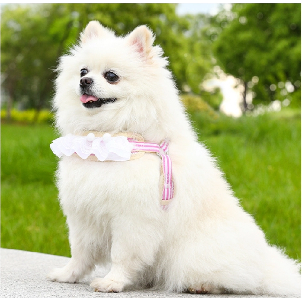 Lace cat outdoor leash, small dog anti slip chest harness, all season universal breathable pet supplies