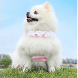 Lace cat outdoor leash, small dog anti slip chest harness, all season universal breathable pet supplies