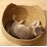 Cat Nest Four Seasons Universal Cat Scratch Board Pet Nest Vine Weaving Removable Washable Grass Weaving Pet Cat Cat Supplies